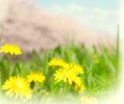 �S������ۂ�